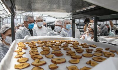 Mersin’de ’güneş enerjisi ile kurutma tesisi’ hizmete girdi