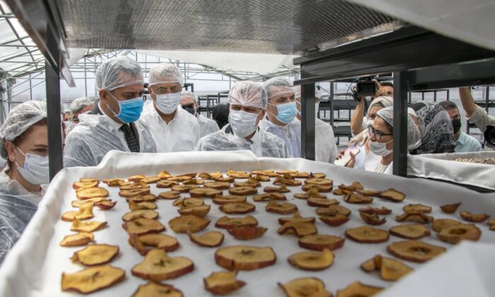 Mersin’de ’güneş enerjisi ile kurutma tesisi’ hizmete girdi