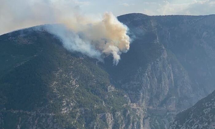 Mersin’de orman yangını