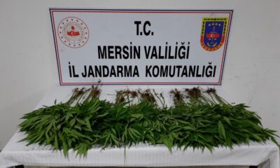 Mersin’de uyuşturucu operasyonu: 7 gözaltı