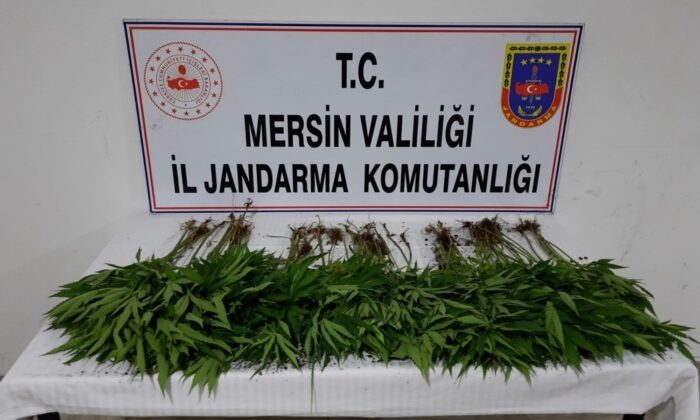 Mersin’de uyuşturucu operasyonu: 7 gözaltı