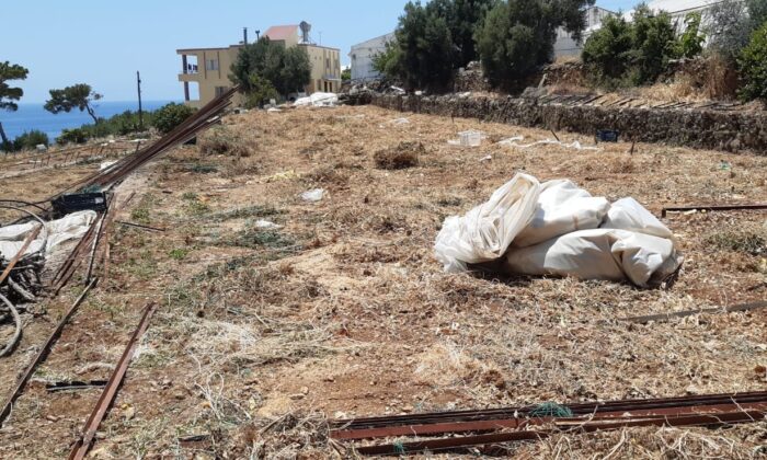 Mersin’de yası dışı orman arazisi işgaline izin verilmiyor