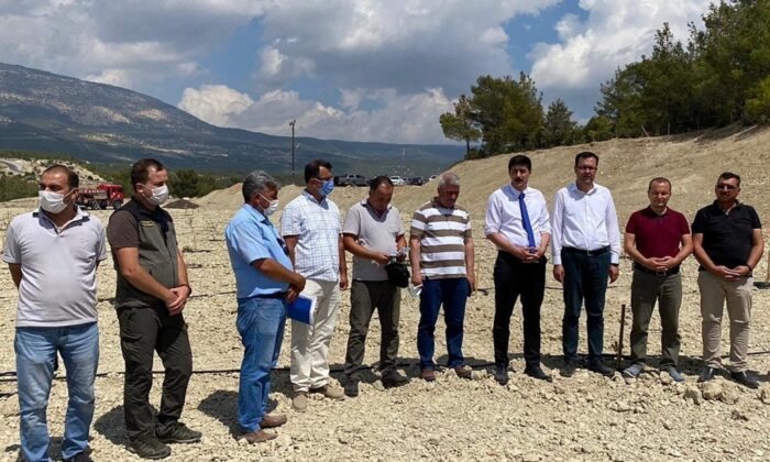 Mersin’de “Zeytin Gen Bahçesi” oluşturuldu