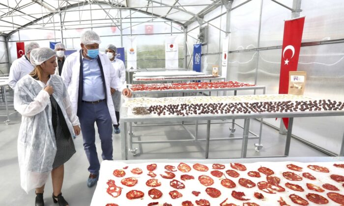 Meyve-sebze kurutma tesisi açıldı