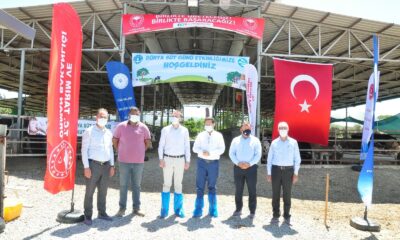 Milas’ta Dünya Süt Günü kutlandı