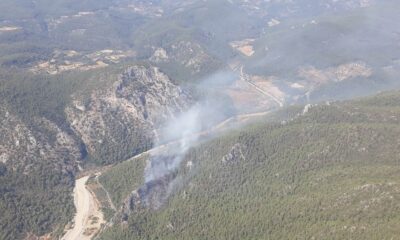 Milas’ta orman yangını