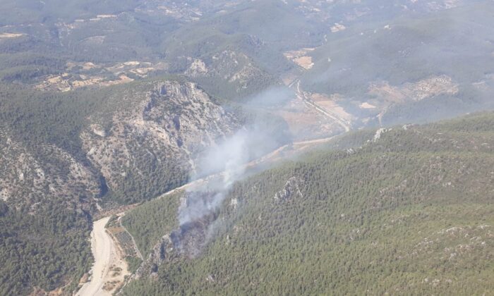 Milas’ta orman yangını