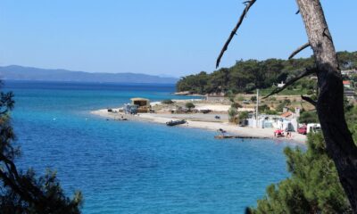 MUÇEV’den Turnalı açıklaması