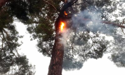 Muğla’da 12 günde 48 yıldırım yangını