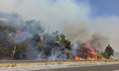 Muğla’da ormana sıçrayan yangın söndürüldü