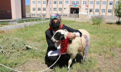 Muhtarlardan okul birincisi olan öğrenciye kuzu