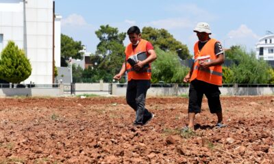 Muratpaşa’da susam tarımı başladı