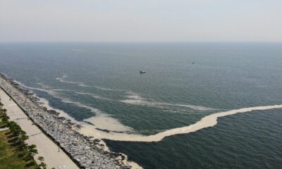 Müsilaj Avcılar sahilinde de görüldü