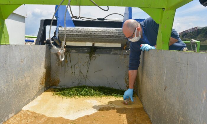 Müsilaj ekonomi için mercek altında