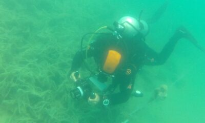 Müsilaj Marmara’da ’deniz çayırı’nı da yok ediyor