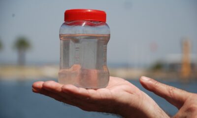 Müsilaja neden olan mikroorganizmaların DNA’sı incelenecek