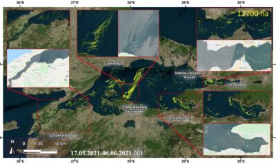 Müsilajın yayılımını uydu üzerinden takip eden kod yazıldı
