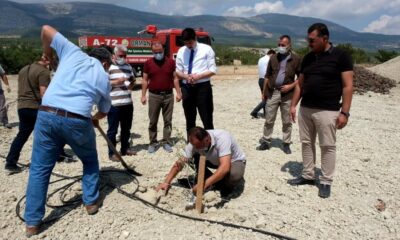 Mut’ta zeytin gen bahçesi kuruldu