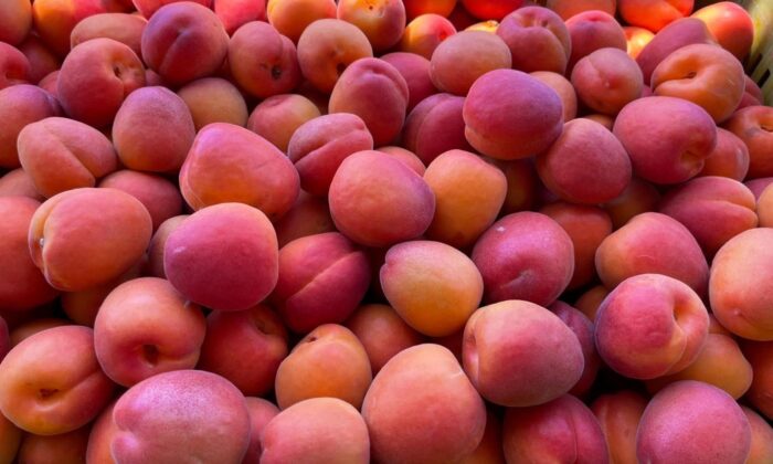 Mut’tan 80 bin ton kayısı ihraç edildi