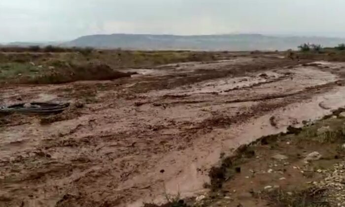 Nallıhan’da dereler taştı, tarım arazileri sele teslim oldu
