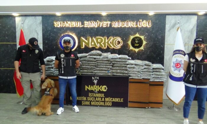 Narkotik köpeği ’Alex’ tırda 60 kiloya yakın uyuşturucu buldu