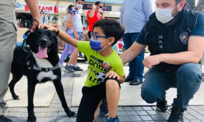 Narkotik köpeği Athena ilgi odağı oldu