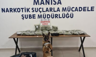 Narkotik köpeği ’Kiraz’ 12 kilo bonzai yakaladı