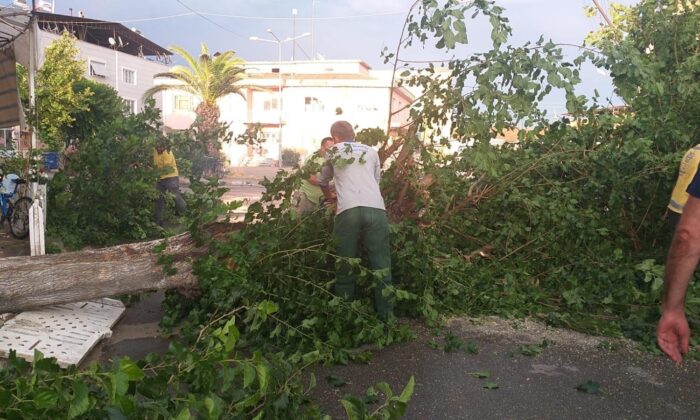 Nazilli Belediyesi’nden anında müdahale