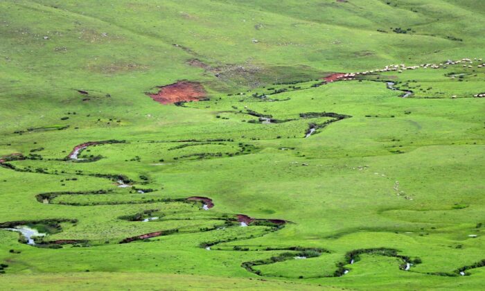 Nefesleri kesen yayla