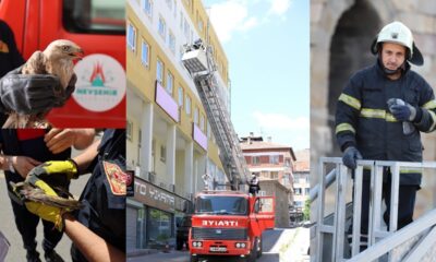 Nevşehir’de itfaiye ekipleri 1 yılda 220 hayvanı kurtardı