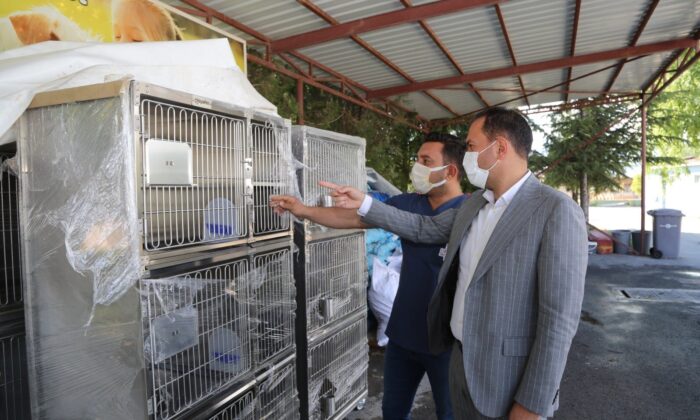 Niğde Belediyesi’nden Sokak Hayvanları İçin Yeni Yatırım