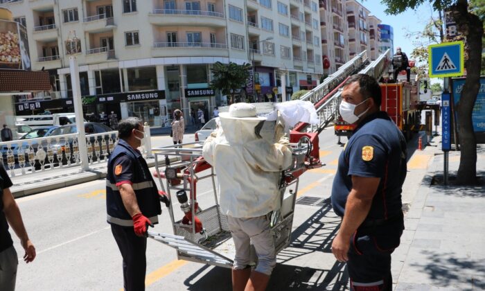 Niğde’de ’arı’ paniği