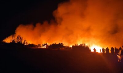 Nizip’te orman yangını