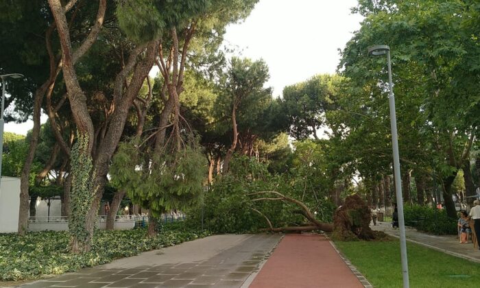 Ödemiş ve Kiraz’da fırtına etkili oldu: Çatılar uçtu, ağaçlar devrildi