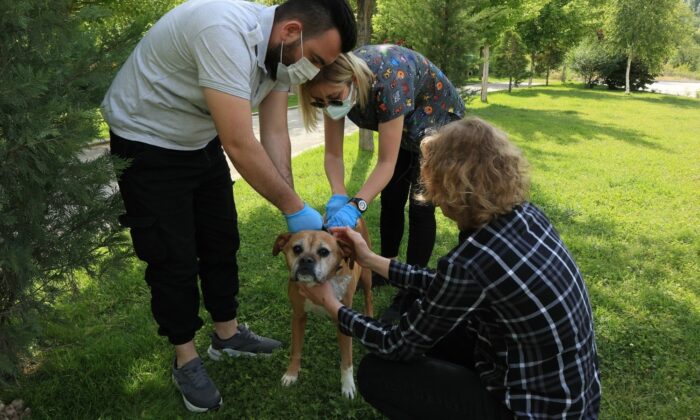 Odunpazarı Belediyesi hayvanseverlerle iş birliğini sürdürüyor