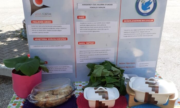 Öğrencilerin Tübitak sergisi büyük ilgi gördü