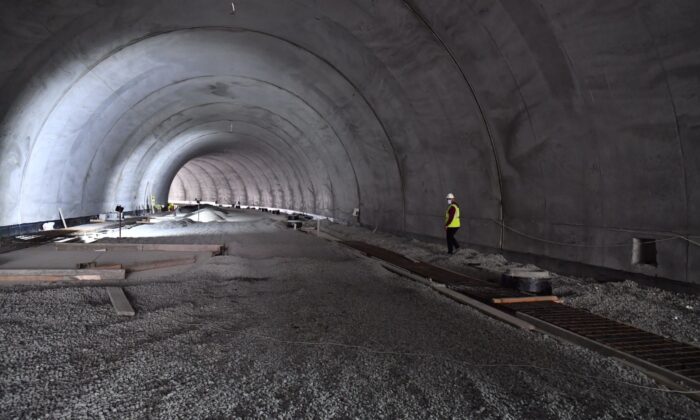 Okyanus canlıları Tünel Akvaryum’da görücüye çıkacak