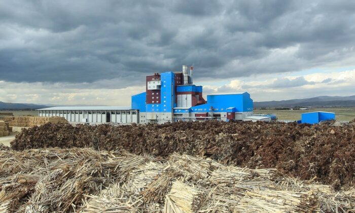 Oltan-Köleoğlu Enerji’den çevrenin korunmasına katkı