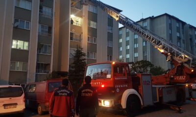 Oluğa sıkışan kargayı itfaiye kurtardı