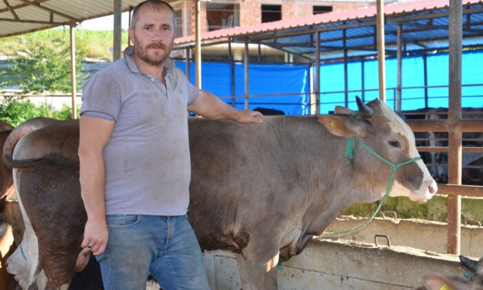 Ordu’da ilk kurbanlıklar pazara indi