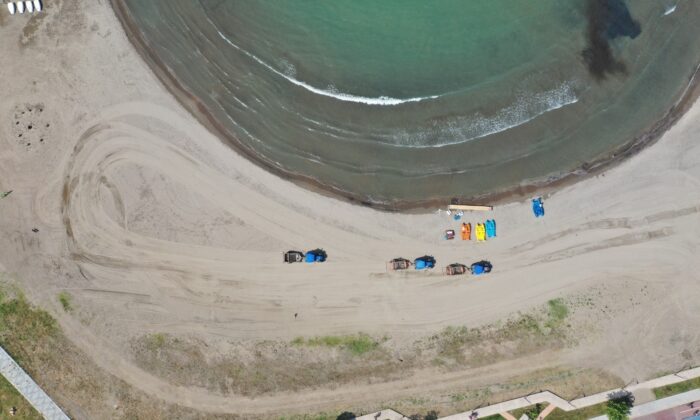 Ordu’da plajlar pırıl pırıl
