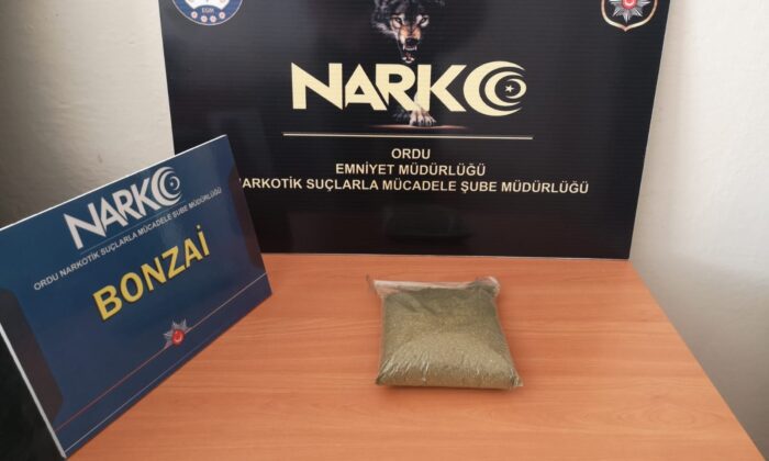 Ordu’da uyuşturucu operasyonu: 1 tutuklama