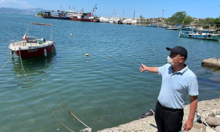 Ordu’daki ’deniz salyası’ iddialarına yalanlama