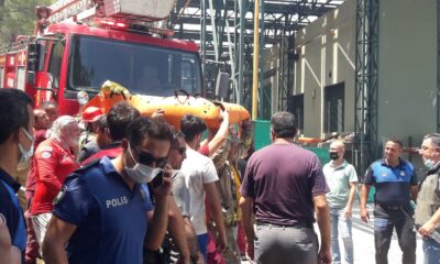 Orman işçisinin cansız bedenine ulaşıldı