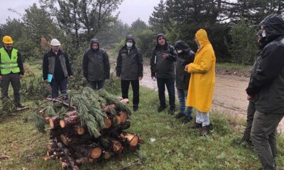 Orman muhafaza memurlarına zararlılarla mücadele eğitimi