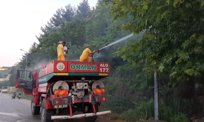 Orman yangını büyümeden söndürüldü