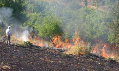 Orman yangınına ilk müdahale gazeteciler ile vatandaşlardan geldi