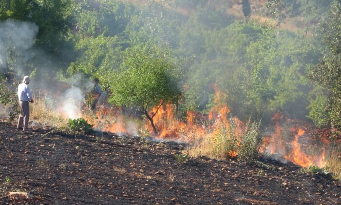 Orman yangınına ilk müdahale gazeteciler ile vatandaşlardan geldi