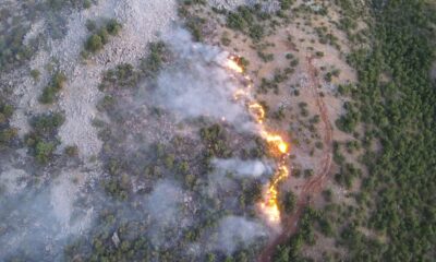Orman yangınını söndürme çalışmaları çok sayıda ekiple sürüyor