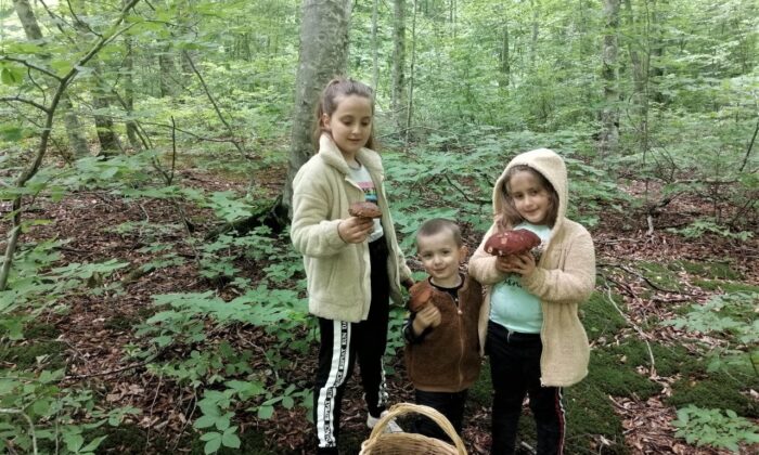 Ormandaki en güzel mantarı bulmak bu çocukların işi